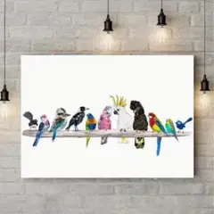 鳥類ポスター　野鳥　アート　インテリア　リビング　カフェ　店舗　ショップ　A3