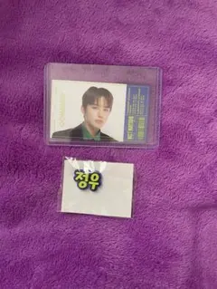 NCT 全体コン Japan 会場限定  ランダムトイジョンウセット