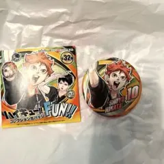 ハイキュー‼︎ 日向翔陽　コレクション缶バッジ