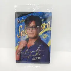 Item thumbnail for item c072dccb-9bce-4a86-a332-e6752c4a6e19