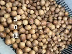 Item thumbnail for item dca3c0c8-b716-4dc2-a396-ffdb3c33c84f