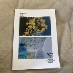 Carat Magazine vol.12