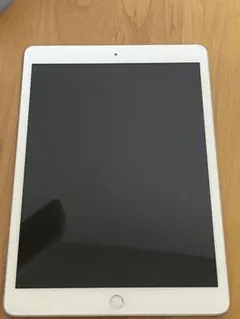 Apple iPad 第8世代　32GB 10.2インチ 本体