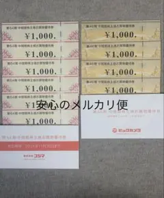 ビックカメラ株主優待券