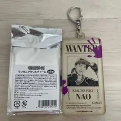 リアルピース ランダムアクリルチャーム NAO