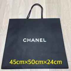 シャネル　CHANEL chanel 紙袋　ショップ袋　黒　カメリア　ショッパー