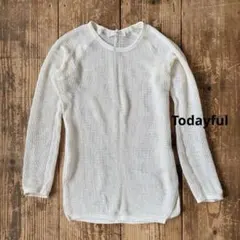 TODAYFUL / トゥデイフル メッシュラグランプルオーバーのサムネイル