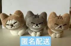 straykids スキズ リノ スンドゥンドリ