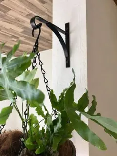 ブラケットフック アイアン ガーデン雑貨 インテリア雑貨 観葉植物 DIY