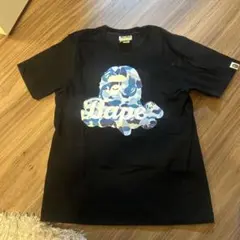 Item thumbnail for item 9d76c36f-8ec5-4dda-8127-881a130acf28