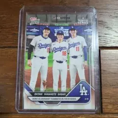 Item thumbnail for item 03abd4a9-86d7-49e7-a080-ef50d31ca4b6