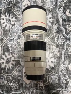 Canon EF 300mm F4L USMのサムネイル