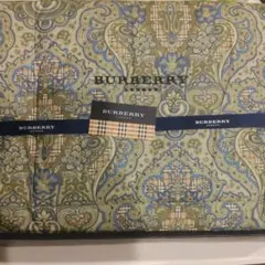 新品未使用✨BURBERRY バーバリー 羽毛肌掛けふとん 2枚組 ノバ