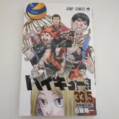 ハイキュー33.5巻音駒番外編