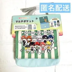 水色 カラフルピーチ からぴち マルチポケット ショルダー付き 移動ポケット
