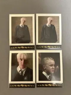 マルフォイ パシャこれ 15枚 マルフォイ パシャこれ