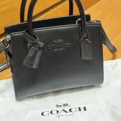 COACH コーチ アンドレア ミニ ハンドバッグ ショルダーバッグ レザー