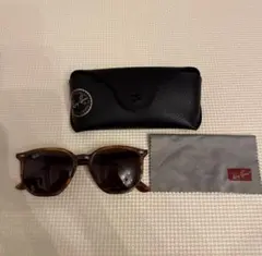 Ray-Ban ERIKA RB4171F 865/13 べっ甲美品 ケース付 - メルカリ