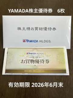 ヤマダ電機　お買物優待券 6枚　3000円分　有効期限2026年6月末