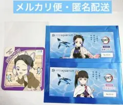 鬼滅の刃　サンシャインシティコラボ　胡蝶しのぶ＆栗花落カナヲ セット