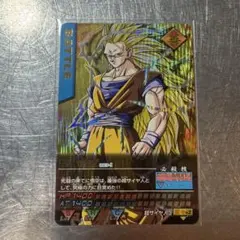ドラゴンボールデータカードダス 初期爆レア 孫悟空 003-I - メルカリ