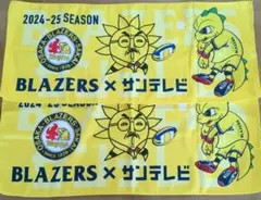 堺ブレイザーズ 髙野直哉 ユニフォームデザインTシャツ Mサイズ 2点 堺ブレイザーズ 髙野直哉 ユニフォームデザインTシャツ Mサイズ 2点