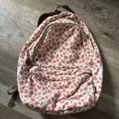 平成　adidas アディダス レオパード柄 リュック バックパック　通学