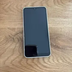 Item thumbnail for item d04c13c7-ac63-4a49-b9cc-d7af4afce16b