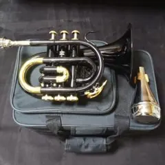 Item thumbnail for item 89036654-675b-4182-b2b9-0ce1a566034e