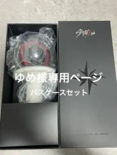 2026年最新】straykids ペンライトカバー ver.2 スンミンの人気