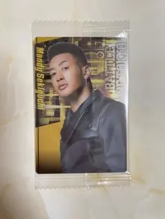 関口メンディー BOT ウエハース Jr.EXILE GENERATIONS