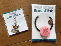 嵐コンサートグッズ