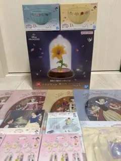 即日発送　一番くじ ディズニープリンセス ラストワン賞　、D賞2種