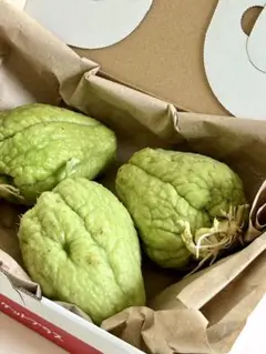 2026年最新】ハヤトウリの人気アイテム - メルカリ