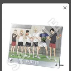 【セブンネット限定】ハイキュー!! アクリルパネル