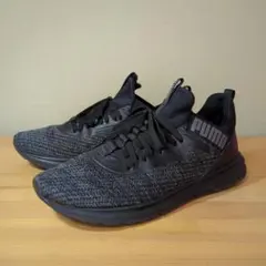 Item thumbnail for item 429f3a8d-0c1e-4786-97e1-e09a9c424ce9