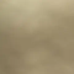 専用