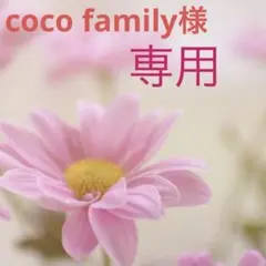 専用⭐️宛名シール　差額分