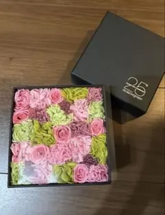 2025年最新】ニコライバーグマンの人気アイテム - メルカリ