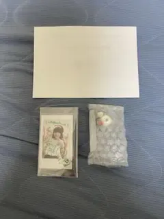 豊崎愛生直筆サインチェキ当選品スフィア