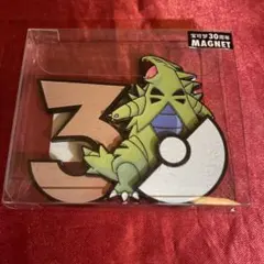 ポケモンカード 中国限定 30周年記念 マグネット 未使用 ジラーチ
