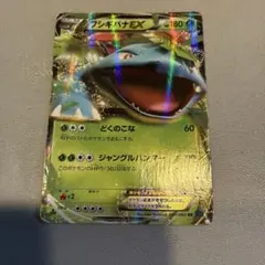 ポケモンカード フシギバナEX RR 001/060 XY1のサムネイル