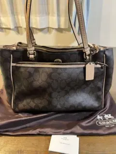2026年最新】coach シグネチャー ショルダーバッグ 2wayの人気アイテム