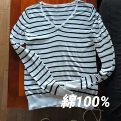 AZUL ストライプ Vネック Tシャツ S