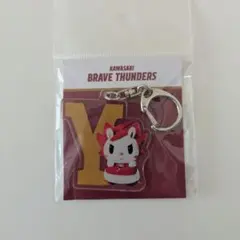 川崎ブレイブサンダース ロウル アクリルキーホルダー 実写 Y