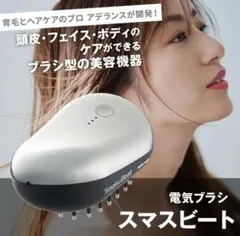 2026年最新】電気ブラシ アデランスの人気アイテム - メルカリ