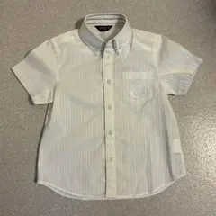 ホワイト ストライプ 半袖シャツ