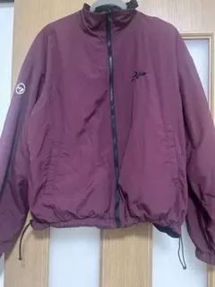 Item thumbnail for item 54667d91-106c-4ea4-9254-8a512b33e1f5