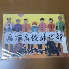 【レア】 ハイキュー 四字熟語 クリアファイル