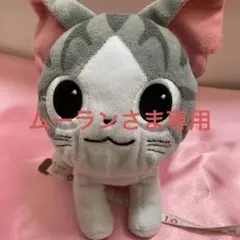 ネコのチー